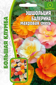 Эшшольция Балерина купить