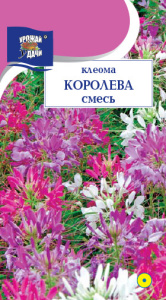 Клеома Королева, смесь  купить