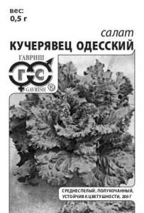 Салат Кучерявец Одесский хрустящий б/п  купить