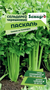 Сельдерей Паскаль черешковый купить