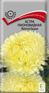 Астра Башня Желтая пионовидная купить