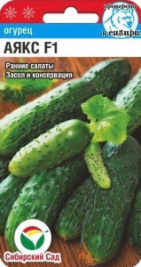 Огурец Аякс F1 купить