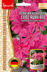 Левизия котиледон Elise Ruby Red купить