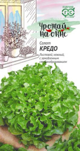 Салат Кредо листовой Урожай на окне купить