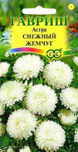 Астра Снежный жемчуг (карликовая белая ) купить