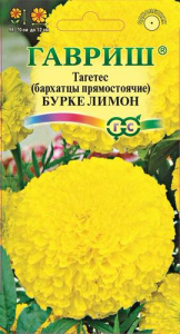 Бархатцы Бурке Лимон купить