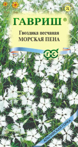 Гвоздика Морская Пена песчаная  купить