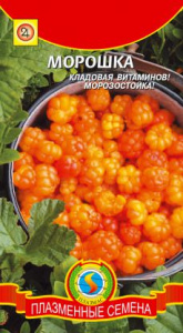 Морошка  купить
