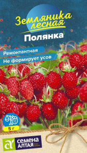 Земляника Полянка ремонтантная купить