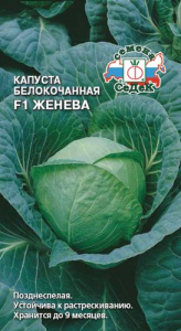 Капуста Женева  F1 купить