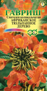 Спатодея Африканское Тюльпанное Дерево  купить
