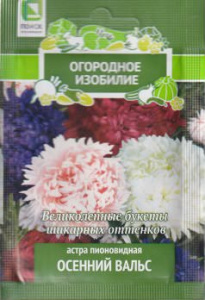 Астра Осенний вальс (ОИ) пионовидная купить