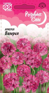 Армерия Валерия  купить