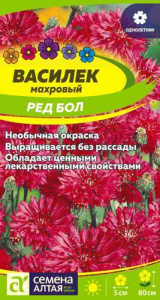 Василек Ред Бол  купить