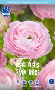 Ранункулюс Aviv PINK  /15шт купить