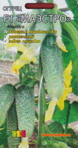 Огурец Маэстро F1 купить