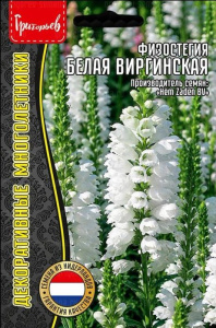Физостегия Белая виргинская купить