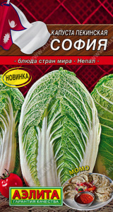 Капуста (пекинская) София  купить