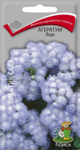 Агератум Леда  купить