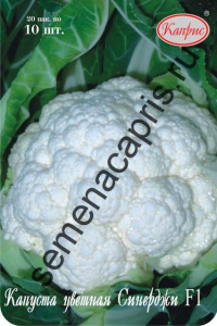 Капуста (цветная) Синерджи F1/1шт купить
