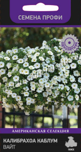 Калибрахоа Каблум Вайт  купить