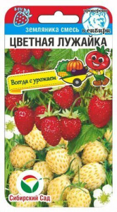 Земляника Цветная лужайка смесь купить