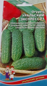 Огурец Уральский Экспресс® F1  купить