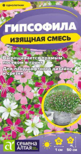 Гипсофила изящная Смесь  купить