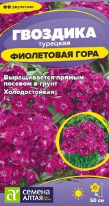 Гвоздика Фиолетовая гора турецкая  купить