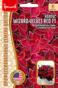 Колеус Визард Вельвет Ред (Velvet Red) F1 купить