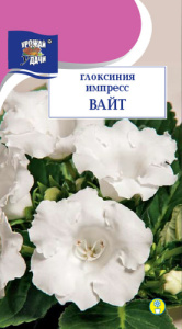 Глоксиния Импресс Вайт  купить