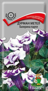 Дурман Балерина парпл метельчатый купить