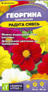 Георгина Радуга купить