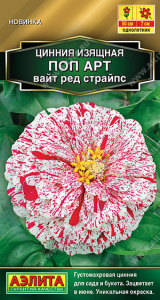 Цинния Поп арт вайт ред страйпс  купить