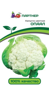 Капуста (цветная) Опаал  купить