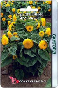 Подсолнечник Санголд махровый  купить