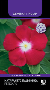 Катарантус Ред Хало купить