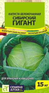 Капуста Сибирский Гигант серия Сибирские гиганты