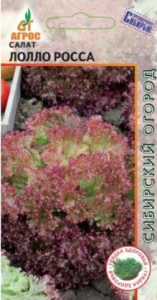 Салат Лолла Росса  купить