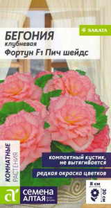 Бегония Фортун Пич шейдс клубневая  купить
