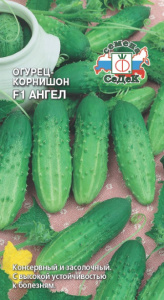 Огурец Ангел F1 купить