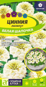 Цинния лилипут Белая Шапочка  купить