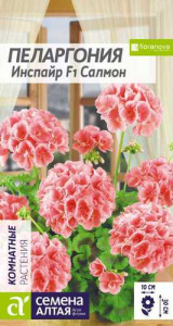 Пеларгония зональная Инспайр Салмон  купить