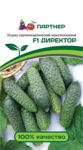 Огурец Директор F1 купить