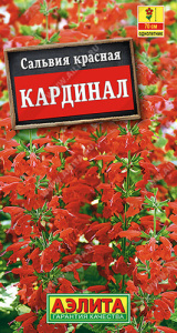Сальвия Кардинал  купить
