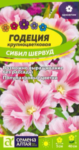 Годеция Сибил Шервуд  купить