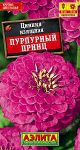 Цинния Пурпурный принц  купить