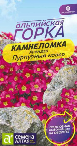 Камнеломка Пурпурный ковер арендса  купить