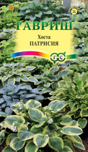 Хоста Патрисия смесь  купить