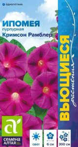Ипомея пурпурная Кримсон Рамблер  купить